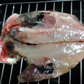 金目鯛の干物のグリル焼き レシピ 作り方 By Mimi2385 楽天レシピ 金目鯛の干物のグリル焼き レシピ 作り方 By Mimi2385 楽天レシピ
